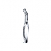 Extracting Forceps American Pattern